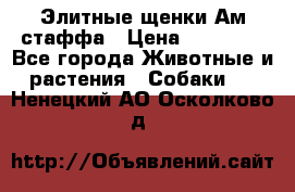 Элитные щенки Ам.стаффа › Цена ­ 25 000 - Все города Животные и растения » Собаки   . Ненецкий АО,Осколково д.